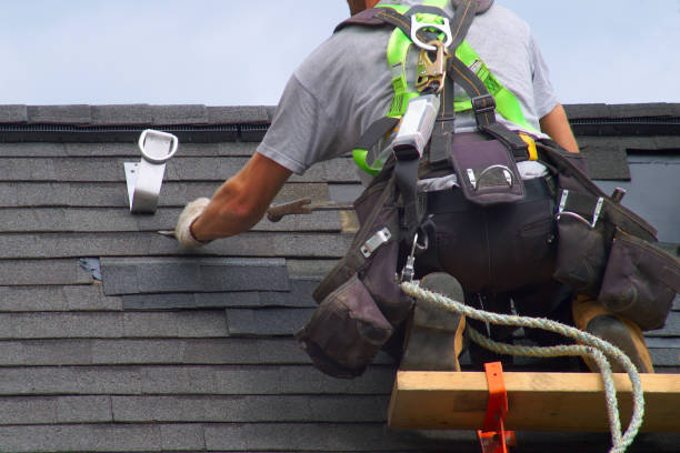 Roof Gutter Cleaning in Ward, AR