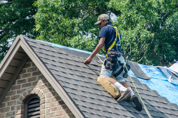 Roof Installation Near Me in Ward, AR